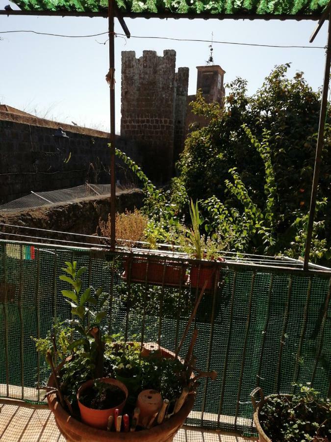 Relax Dal Caos Di Citta Apartment Barbarano Romano Luaran gambar