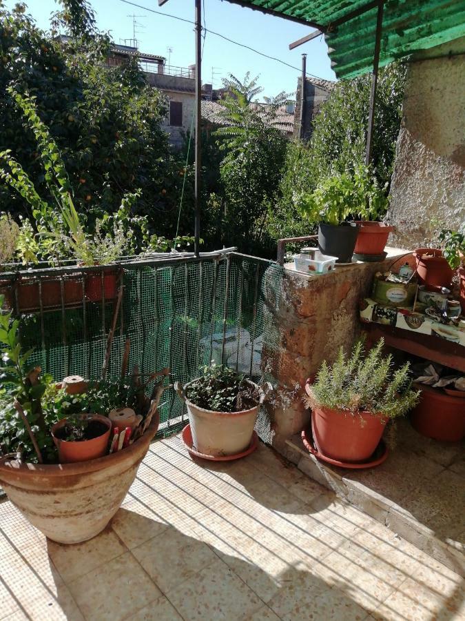 Relax Dal Caos Di Citta Apartment Barbarano Romano Luaran gambar